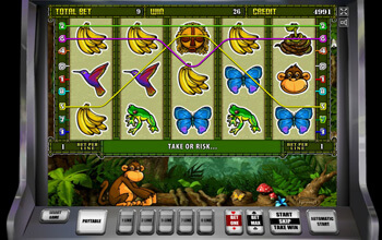 Игровой автомат на деньги Crazy Monkey 2