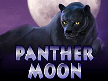 Автомат Panther Moon в казино с выводом денег