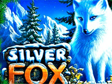 Silver Fox игровые автоматы
