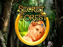 Автоматы с бонусом Secret Forest