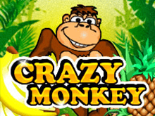 Игровые автоматы на деньги Crazy Monkey