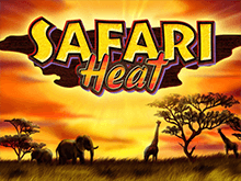 Казино на деньги Safari Heat