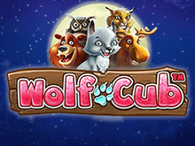 Играть на деньги в игровой аппарат Wolf Cub